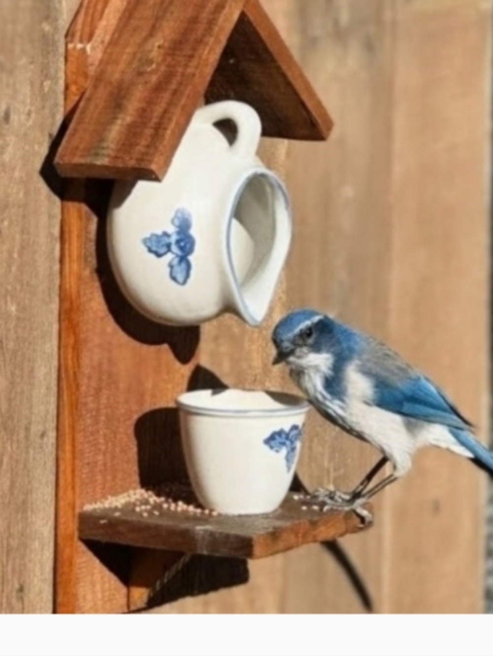 Rustic Wooden Handcrafted Teapot Bird Feeder Fly High - Picture 12 of 16